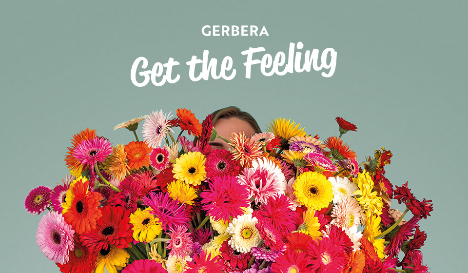 Gerbera campaign Get the Feeling