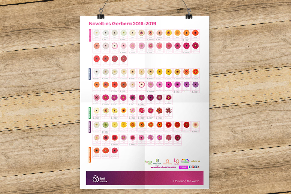 Download the assortment poster and discover the 95 NEW gerbera varieties.