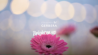Brighten up with GerberaCampaign video