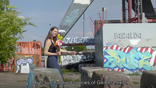 Cinefleur Amsterdam Commercial video